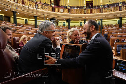 Pleno del Congreso