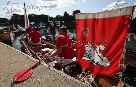 Annual swan upping ceremony along the River Thames