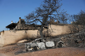 FILE PHOTO: Aftermath of the wildfire near Athens