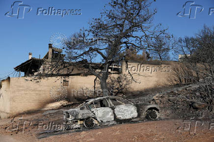 FILE PHOTO: Aftermath of the wildfire near Athens