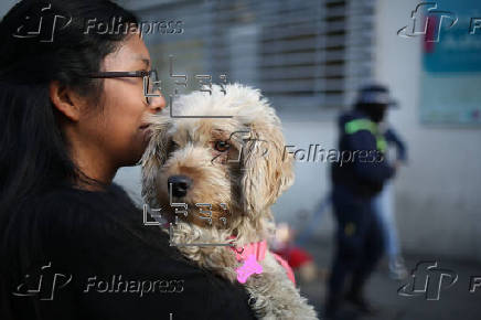 'Patitas del Bicentenario', un festejo adelantado por el Día del Perro en Bolivia