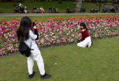A woman poses next to blooming flowers in Victoria Embankment Gardens, London
