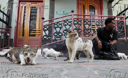 Somali man defies taboo to care for Mogadishu?s stray dogs and cats