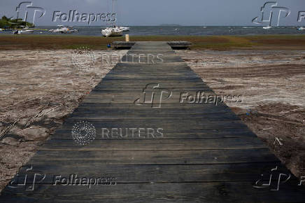 Sargassum seaweed season in Puerto Rico