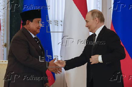 Russian President Putin meets Indonesian President Subianto in St. Petersburg