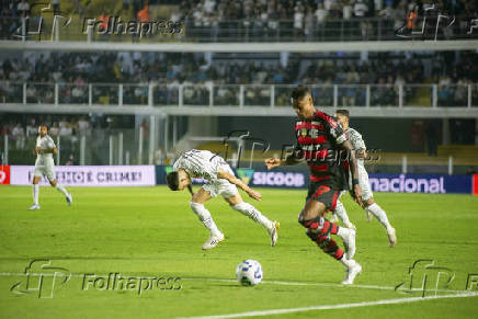 Santos x Flamengo