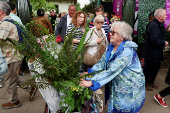 Chelsea Flower Show in London