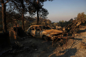 Wildfire burns in Ierapetra on the island of Crete