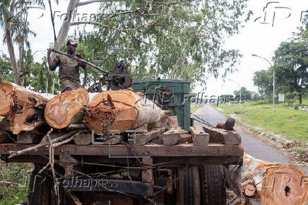 Timber exploitation in Nigeria's Kwara State