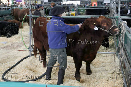 El potente sector rural de Argentina abre su tradicional feria entre reclamos a Milei
