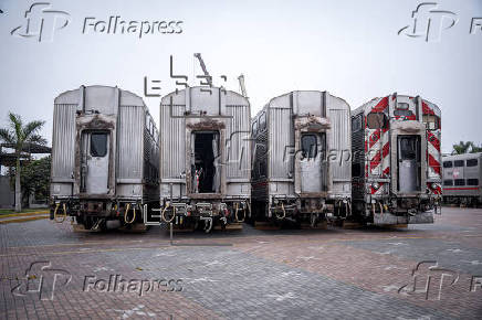 Trenes desechados en EE.UU. y entregados a Lima quedan almacenados en un parque público
