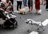 Cão robô da GCM na Av. Paulista