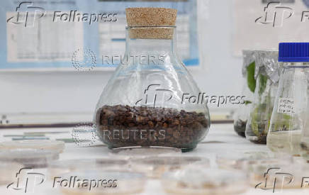 A view of inside the International Atomic Energy Agency (IAEA) laboratories in Seibersdorf