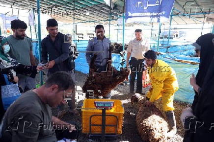 Eid al-Adha celebration in Iran