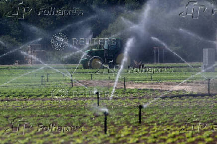 Heatwave hits France