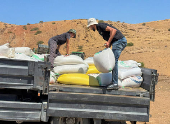 Palestinians accuse settlers of slaughtering their sheep
