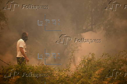 Wildfire in Greece's Peloponnese region