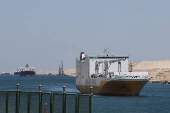 Ships move through the Suez Canal, on the Excellence Day, in Ismalia