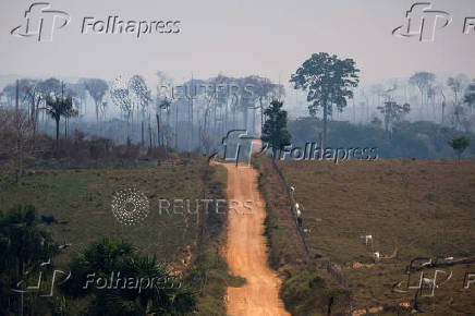 Illegal loggers are key players in carbon credit schemes in Brazil