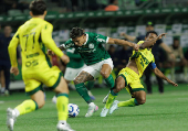Campeonato Brasileiro Série A - Palmeiras e Mirassol