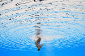World Aquatics Championships