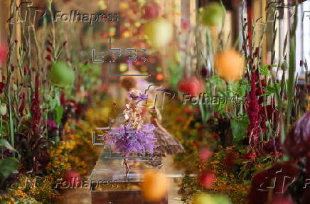 Flowertime 2025 in Brussels