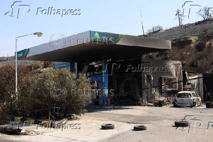 Aftermath of a wildfire in Volissos on the island of Chios