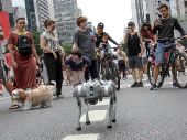 Cão robô da GCM na Av. Paulista