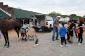 Horse racing - Kentucky Derby 2025