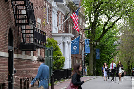 Views of Harvard University