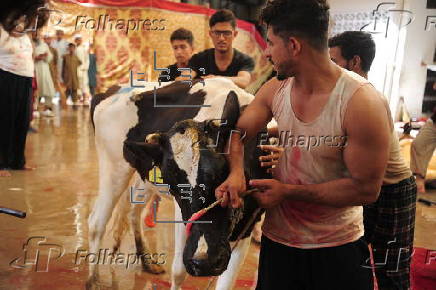 Eid al-Adha observed in Pakistan