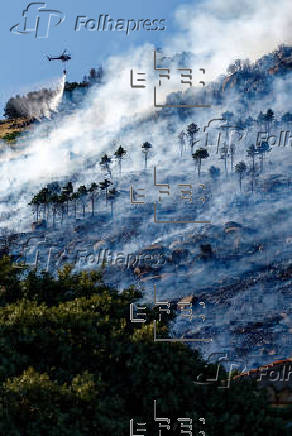 Quince medios actúan contra un incendio que puede afectar a más de 30 hectáreas en Ávila