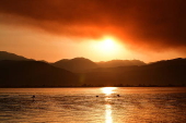 Wildfire in Feneos, Corinth, southern Greece