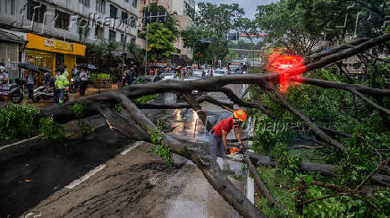 Chuva forte derruba árvore na avenida 9 de Julho
