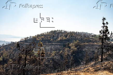 Wildfire continues on Chios Island as evacuations expand