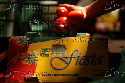 U.S. duties on Mexican tomato imports