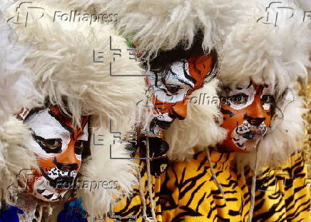 Awareness campaign on International Tiger Day in Bangalore