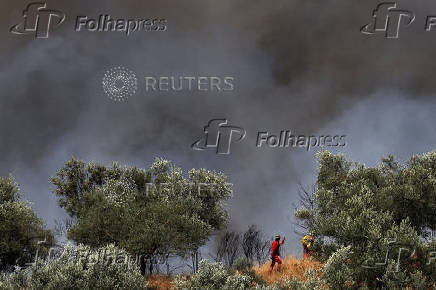 Wildfire in Delvina