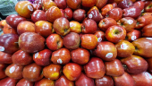 Produtos à venda em mercado atacadista em SP