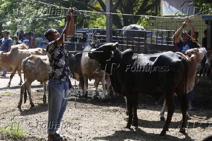 Eid al-Adha preparations in Aceh