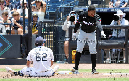 MLB: Miami Marlins at Tampa Bay Rays
