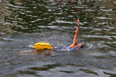 River Seine opens for public swimming at three sites in Paris