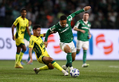 Brasileiro Championship - Palmeiras v Mirassol
