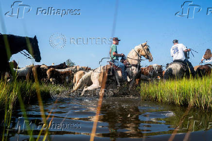 100th annual Chincoteague Pony Swim