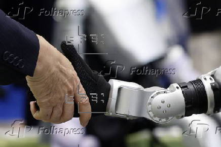 International Robot Exhibition 2025 in Tokyo