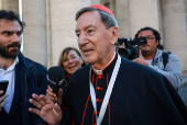 Cardinals arrive in the Vatican for general congregation meetings