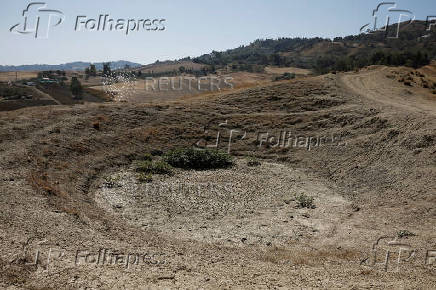 FILE PHOTO: Water profiteers thrive as drought intensifies, in Sicily