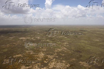 An aerial view of the Everglades