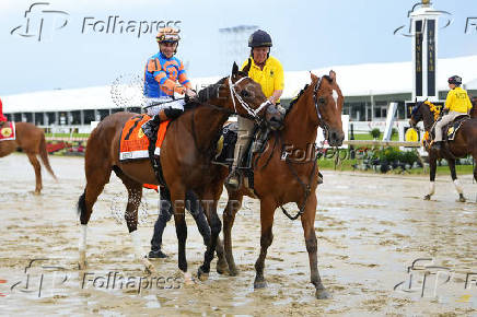 Horse Racing: Black-Eyed Susan