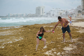 Sargassum seaweed season in Cancun